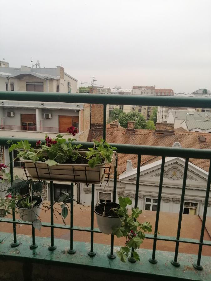 Apartman Centar Beograd 외부 사진